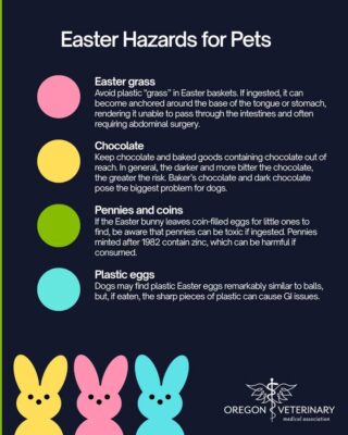 Great advice for our four legged family 🐾🐾