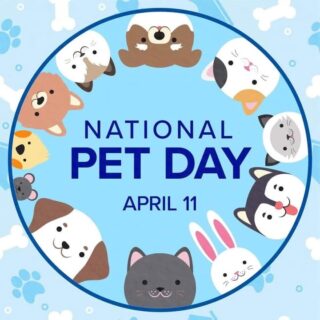 #petsarefamily