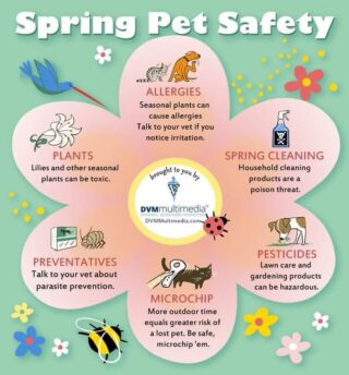 #Springtime  #Dogs #Cats  #Petsafety