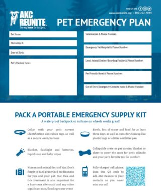 Great advice and checklist for pet safety…