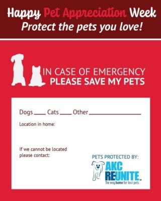 #Petsarefamily Great advice have this type of information available in case of emergency…🐕🐈#pets #dogs#cats