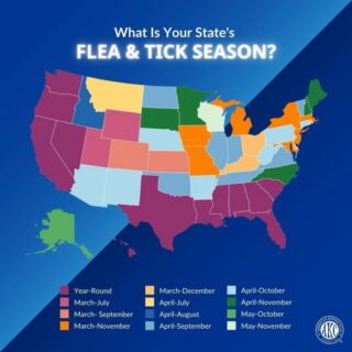 #FleaSeason #TickSeason #PetHealth